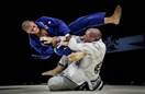 Afbeeldingsresultaat voor jiu jitsu